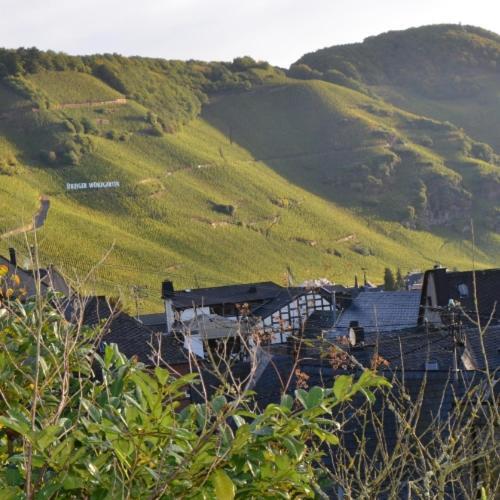 Hotel Weingut Erbes-Henn Ürzig Exteriér fotografie